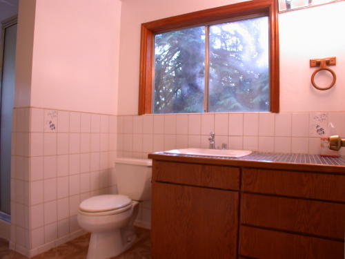 Lower level fireplace